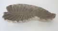 Betonnen blad 40 cm 3